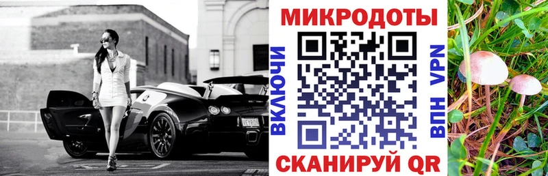 MEGA tor  Нолинск  Галлюциногенные грибы Psilocybe 