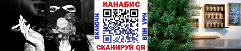 Канабис сатива Нолинск